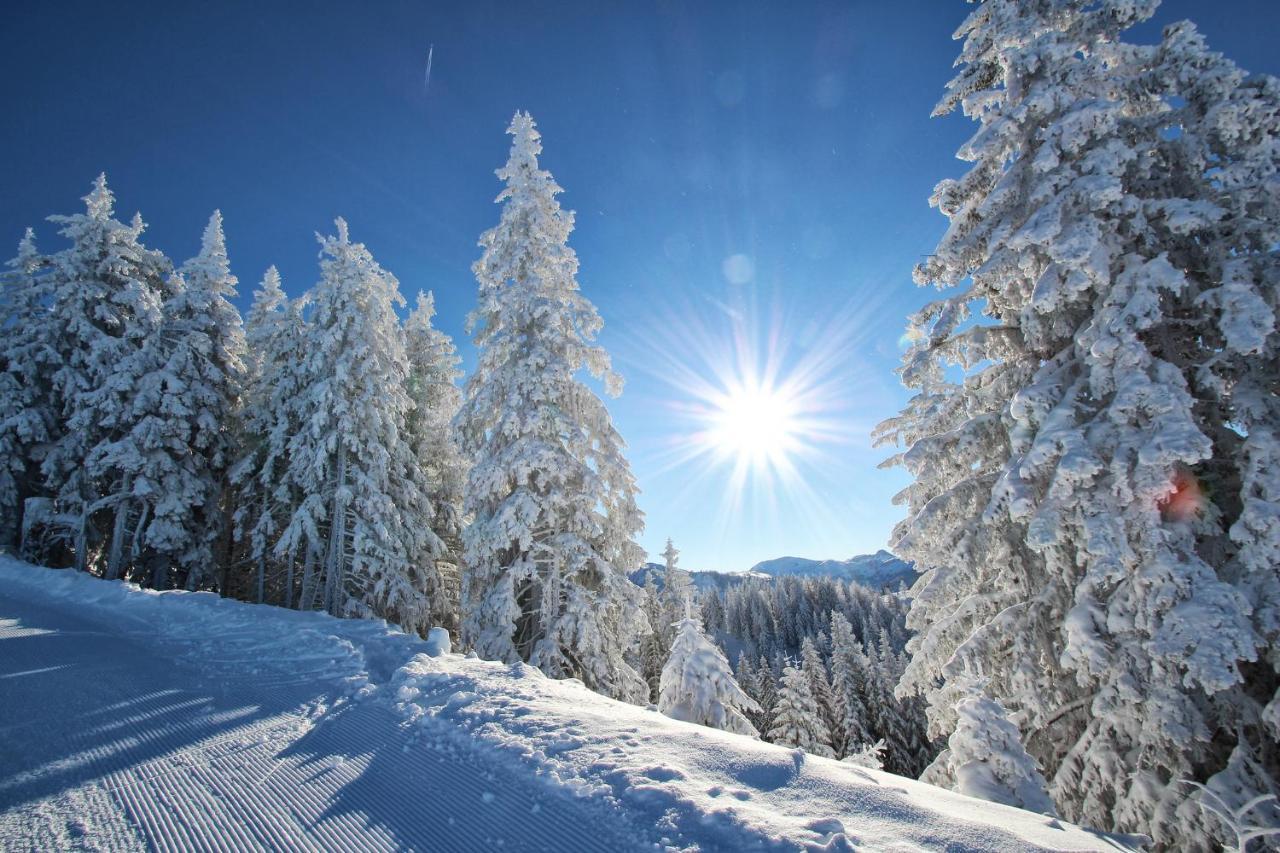 Hotel Alpenschloessl ซังค์โยฮันน์อิมพองเกา ภายนอก รูปภาพ